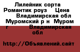 Лилейник сорта “Романтик роуз“ › Цена ­ 130 - Владимирская обл., Муромский р-н, Муром г.  »    . Владимирская обл.